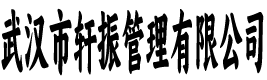 武汉市轩振管理